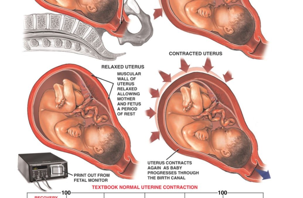 uterine contractions